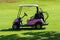 Electric golf buggy on the fairway