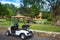 Electric golf cart in a park