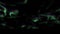 Electric green Aurora Borealis illuminates the midnight sky overlay on black background