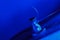 Electric guitar tuning pegs in blue light