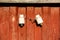 Electric insulators on a barn wall