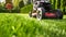 Electric Lawn Mower in a Vibrant Garden. Generative ai