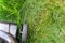 Electric Lawnmower mowing the backyard lawn