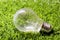 Electric light bulb on the grass, ecology concept