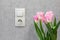 Electric light switch and a grounded outlet on an empty gray wall. Bouquet of tulips against the wall with an electric switch and