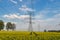 Electric line in a field overgrown with blooming oilseed rape.