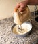 Electric mixer being used to prepare cheesecake ingredients