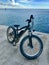 Electric offroad bicycle