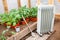 Electric oil heater in greenhouse with seedlings of plants, planting early spring during cold weather.