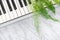Electric piano keys and green fern leaves