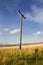 Electric Pole in a Field in Helena