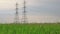 Electric pole, High voltage towers in rice green filed dolly crane shot