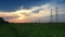 Electric pole, High voltage towers and sky sunset in rice green filed dolly shot