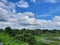 AN ELECTRIC POLE STANDS  IN CORN FIELDS,OTHER EVERGREEN TREES,PARTLY BLUE,PARTLY WHITE CLOUDY SKY