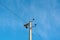 Electric pole telephone cable post sky blue clouds copy space