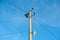 Electric pole telephone cable post sky blue clouds copy space