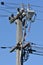 Electric pole with wires and isolators