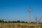 Electric post wire stand and cormorants