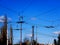 Electric power grid view as a part of city trolleybus system against blue sky.