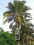 Electric power meter box fixed to the pole with DANGER signboard written in Malay word `BAHAYA` at the farm entrance