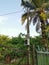 Electric power meter box fixed to the pole with DANGER signboard written in Malay word `BAHAYA` at the farm entrance