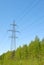 Electric powerline