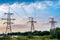 The electric pylon in the rice field with the blue sky. Energy distribution concept