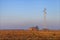 Electric pylon and small rural building in the countryside on corn cultivation.