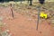 Electric ring fence, Australia