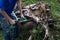 Electric saw in action cutting wood. Man cutting wood with saw, dust and movements. Close-up of woodcutter sawing chain saw in