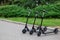 Electric scooters in row on the parking lot City bike rental system, public kick scooters on the street electric scooter in