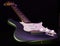 Electric stratocaster type guitar isolated on black background