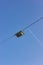 electric streetlamp hanging on cable before blue summer sunny sk