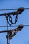 Electric trolleybus collectors close-up against the April blue spring sky. Power line wires network. Public transport.