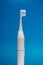 Electric ultrasonic toothbrush