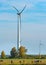 Electric wind farm, a renewable ecological energy source. Horse enclosure, pasture and wind turbines, unique view.