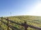 Electric windmills on a grass hill