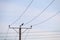 Electric wires and electric pole. A crow sits on power lines