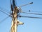 Electric wires on electricity poles in Asia with CCTV and led light lamp