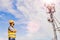 Electrical engineers work on telecommunication. tower.lj Helmets and safety devices look on high telecommunication towers, field w