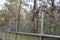 Electrical fence in the forest