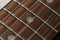 Electrical guitar neck, fretboard and metal strings closeup. Electric guitar black and white color, detail. Music instruments