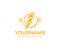 Electrical lightning and flash, logo template. Electric thunder, power, energy and light, vector design