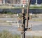 Electrical line passes through an old rusty pole