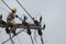 An electrical lineman working on a line