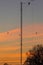 Electrical mast against the sunset sky