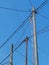 Electrical pole distribution at the summer daylight