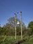 Electrical Power lines and a transformer on a Twin wooden Utility Pole crossing Rural Land in Angus.