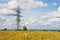 Electrical powerlines and wheat field in summer day