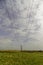 electrical pylons in countryside, wires diverging to foreground